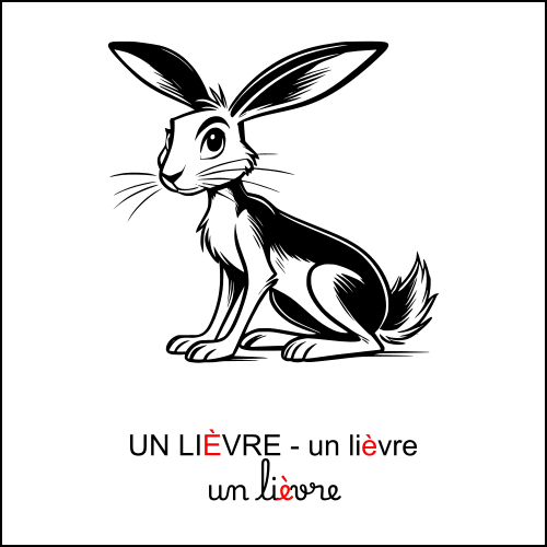 lièvre